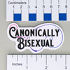NerdyKeppie Canonical Identity Stickers. Our NerdyKeppie Canonical Identity Stickers feature your choice of identity in the appropriate pride flag colors. These canonical identity stickers ship from Portland, Oregon.