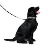 NerdyKeppie Dog Paws Ace Pride Pet Leash. 