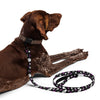 NerdyKeppie Dog Paws Ace Pride Pet Leash. 