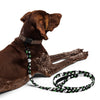 NerdyKeppie Dog Paws Aro Pride Pet Leash. 