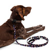 NerdyKeppie Dog Paws Genderfluid Pride Pet Leash. 