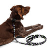 NerdyKeppie Dog Paws Genderqueer Pride Pet Leash. 