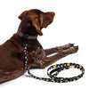 NerdyKeppie Dog Paws Lesbian Pride Pet Leash. 