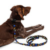 NerdyKeppie Dog Paws Rainbow Gay Pride Pet Leash. 