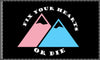 NerdyKeppie "Fix Your Hearts Or Die" Double Mountains Trans Pride Flag. 