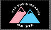 NerdyKeppie "Fix Your Hearts Or Die" Double Mountains Trans Pride Flag. 
