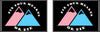 NerdyKeppie "Fix Your Hearts Or Die" Double Mountains Trans Pride Flag. 