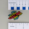 NerdyKeppie-"Hello Boys" Acrylic Pride Pin-Bi