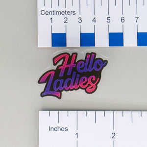 NerdyKeppie-"Hello Ladies" Acrylic Pride Pin-Bi
