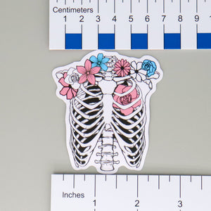 NerdyKeppie Human Ribcage Trans Pride Stickers. Our NerdyKeppie Human Ribcage Transgender Pride Stickers feature a human ribcage decorated with flowers in the transgender pride flag colors. These human ribcage transgender pride stickers measure 2.5" x 3" and ship from Portland, Oregon.