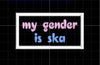 NerdyKeppie's No Hooked Backing "My Gender is Ska" Embroidered Trans Pride Patches are stitched on sturdy rectangular duck cloth and backed with vinyl fuse.