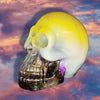 Pride Resin Skull
