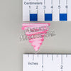 NerdyKeppie-"Publicly Homosexual / Transsexual" Acrylic Pink Triangle Pin-Publicly Homosexual
