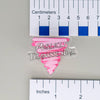 NerdyKeppie-"Publicly Homosexual / Transsexual" Acrylic Pink Triangle Pin-Publicly Homosexual