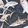 A NerdyKeppie Shark Swarm Heat & Cold Packs. A microwaveable heat and cold pack featuring a shark-themed design, a great gift for anyone who has to deal with shark week or just likes sharks.